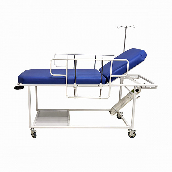 Camilla Examen Con Barandas y Ruedas